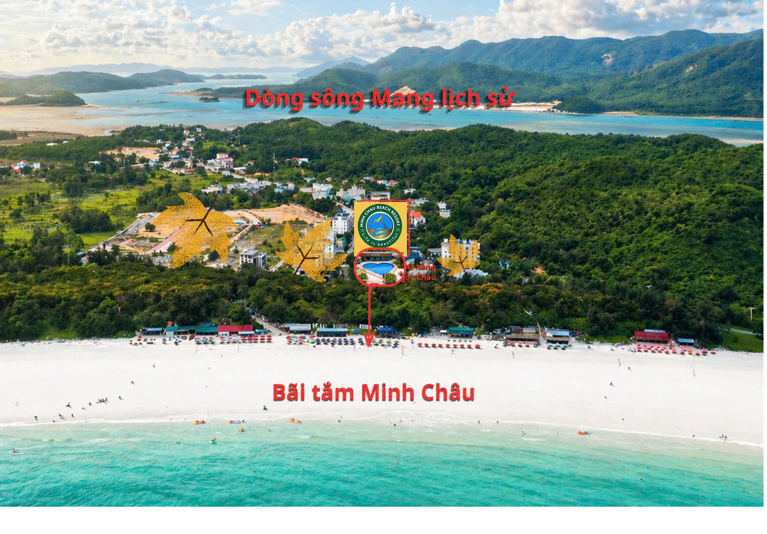 clip thực tế
